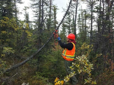 AN-tying-ribbon-on-tree-with-full-PPE